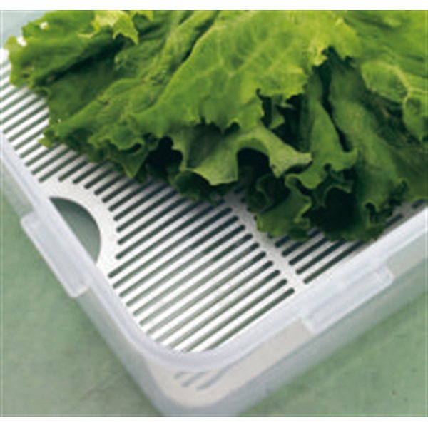 Boîte haute et grille fraîcheur 5,5 L Lock and Lock - Mathon - 2