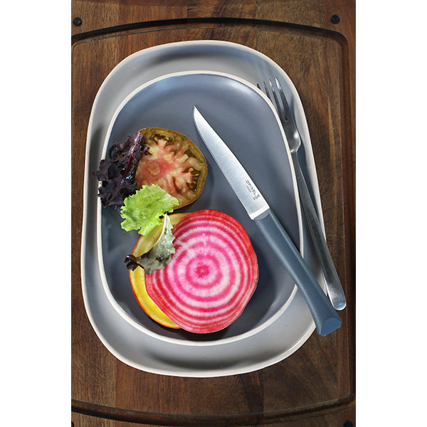 Coffret 4 couteaux de table Bon Appétit Opinel - Mathon - 5