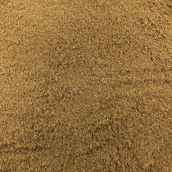 Coriandre Poudre Bio en Vrac 500g Vrac Bio - Mathon - 1