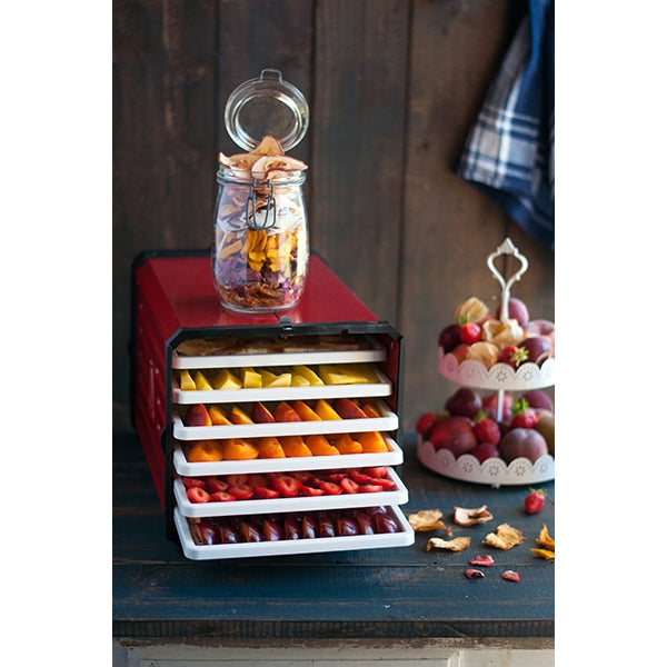 Déshydrateur pro 6 plateaux 5500 cm² 500 W Atacama - Mathon - 2