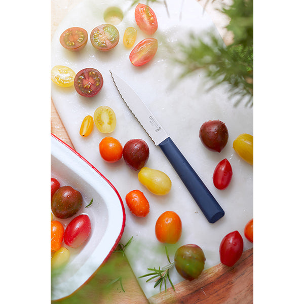 Couteau Cranté N°313 Essentiels+ Bleu 10 cm inox Opinel - Mathon - 3