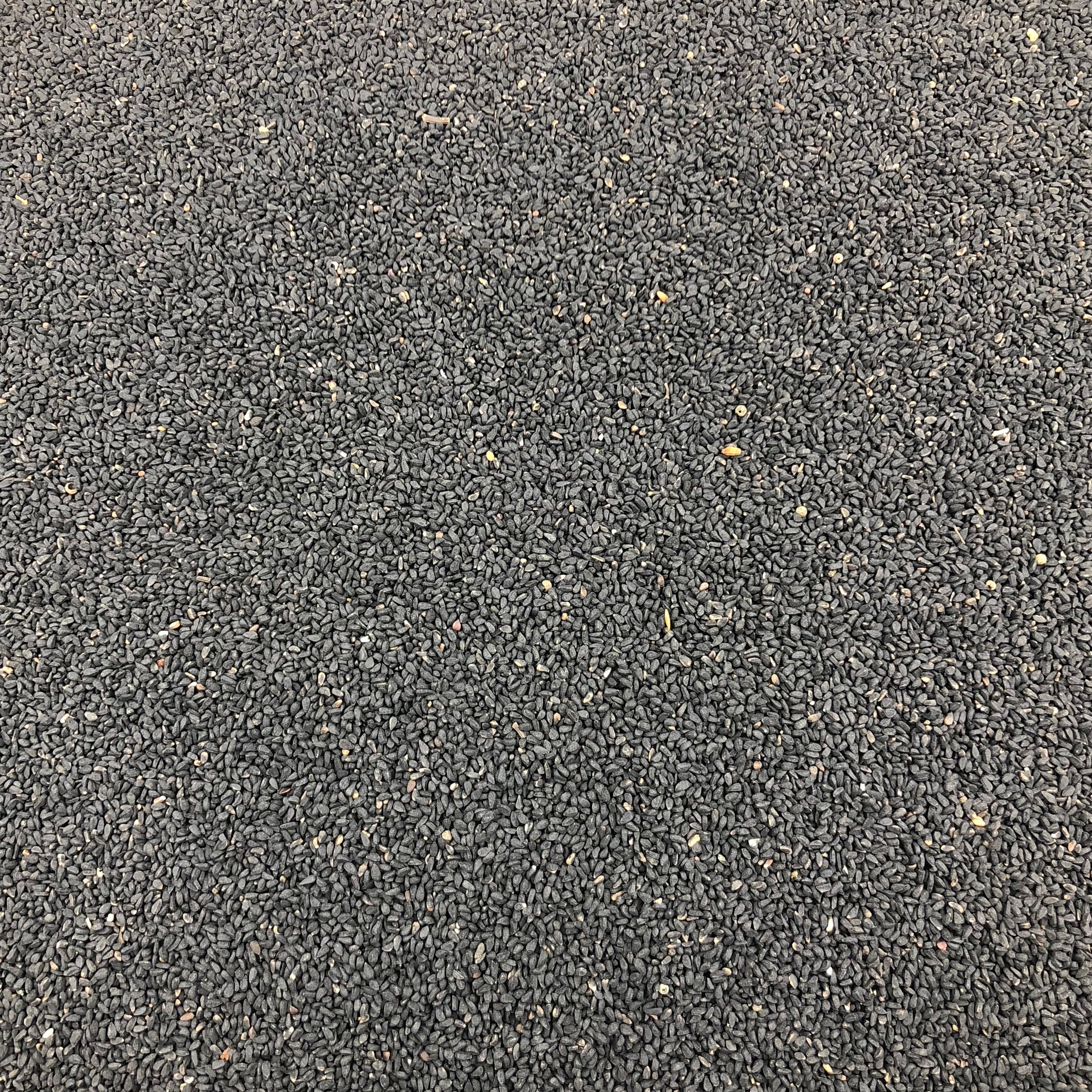 Nigelle Graines Bio en Vrac 10kg Vrac Bio - Mathon - 2