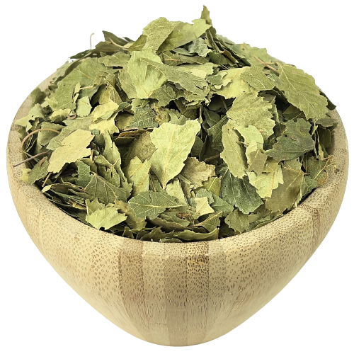 Bouleau Feuilles Bio en Vrac 125g Vrac Bio - Mathon - 1