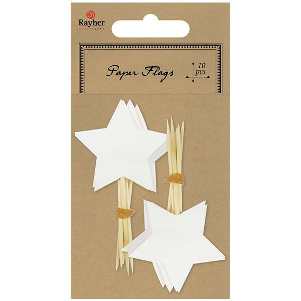 10 piques étoile - blanc Rayher - Mathon