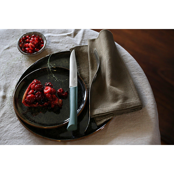 Coffret 4 couteaux de table lame micro-dentée 11 cm Bon Appétit Plus anthracite Opinel - Mathon - 5