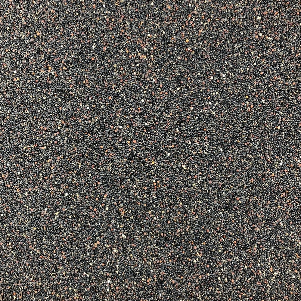 Quinoa Noir Bio en Vrac 1kg Vrac Bio - Mathon - 2