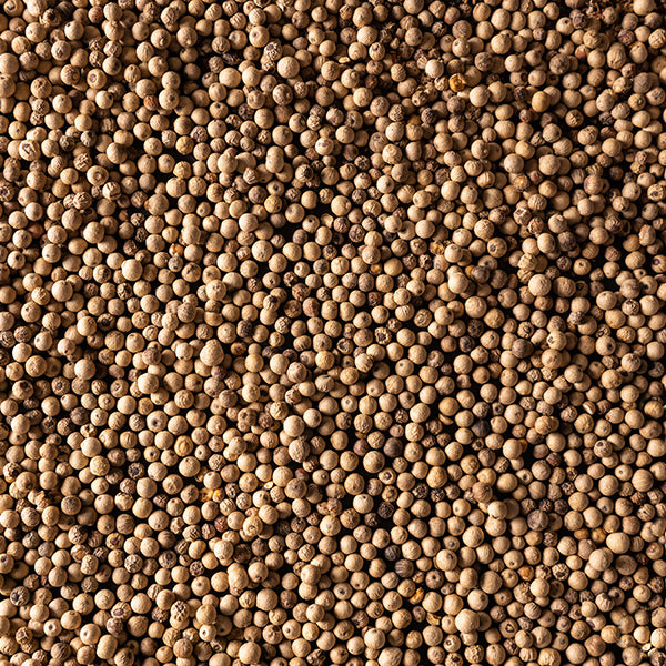 Poivre Blanc Sarawak 4 x 20g Peugeot - Mathon - 3