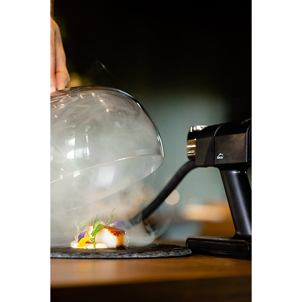 Fumoir pour aliments Lacor - Mathon - 4