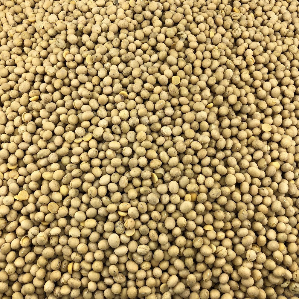 Soja Jaune Bio en Vrac 250g Vrac Bio - Mathon - 2