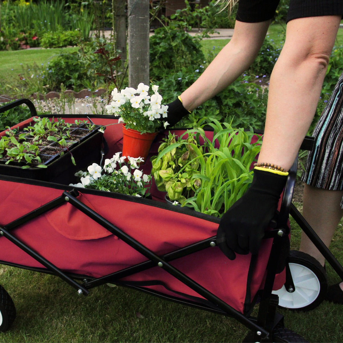 Chariot Pliable de Jardin – Rouge Monstershop - Mathon - 3