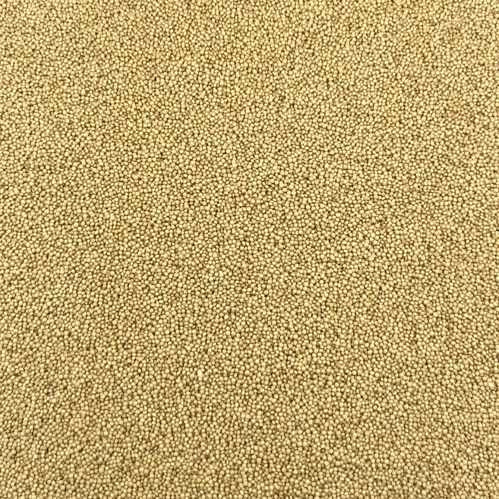 Millet Bio en Vrac 10kg Vrac Bio - Mathon - 2