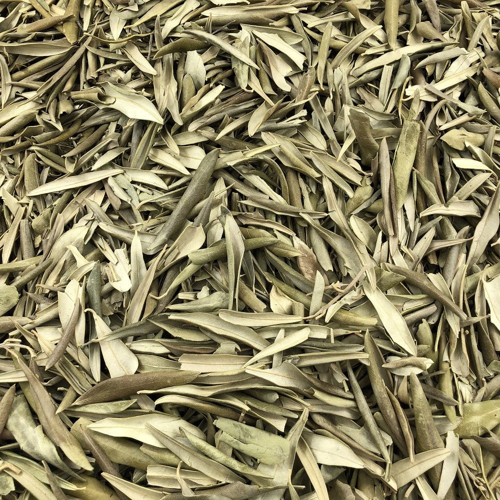 Olivier Feuilles Bio en Vrac 5kg Vrac Bio - Mathon