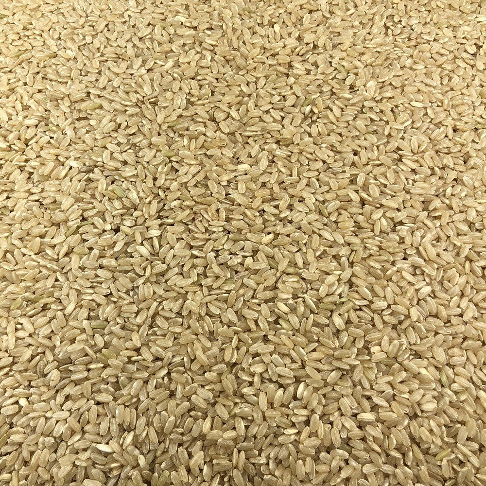 Riz Rond Complet Bio en Vrac 5kg Vrac Bio - Mathon - 2