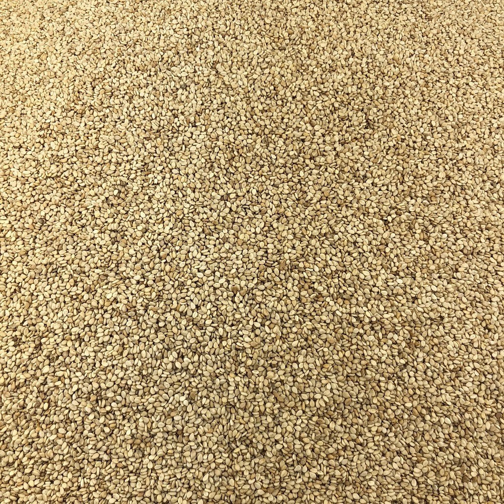 Graines de Sésame Bio en Vrac 500g Vrac Bio - Mathon - 2