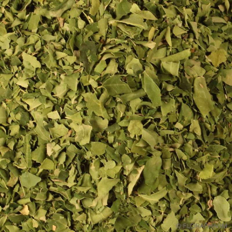 Moringa Feuilles Bio en Vrac 10kg Vrac Bio - Mathon - 1