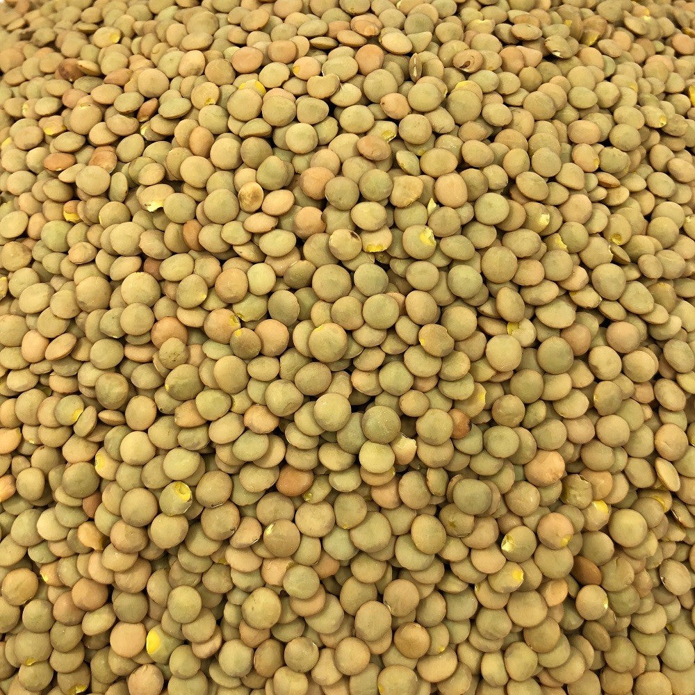 Lentille Blonde Bio en Vrac 5kg Vrac Bio - Mathon - 2