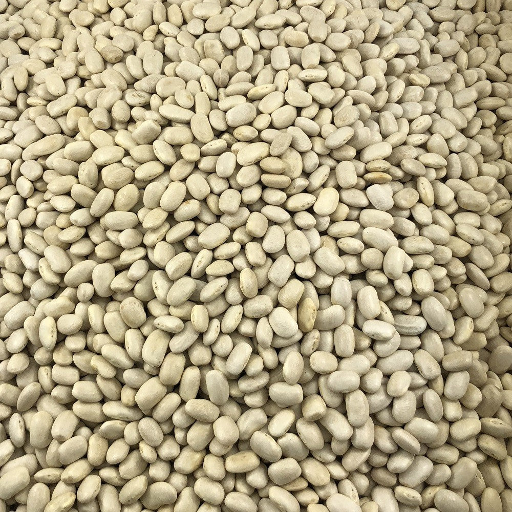 Haricot Blanc Bio en Vrac 5kg Vrac Bio - Mathon - 2