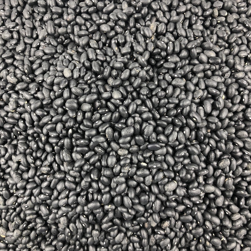 Haricot Noir Bio en Vrac 10kg Vrac Bio - Mathon - 2