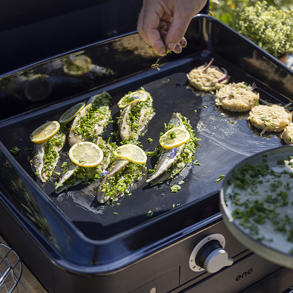 Plancha à gaz Combo enosign 65 bleu navy 2 feux ENO - Mathon - 4