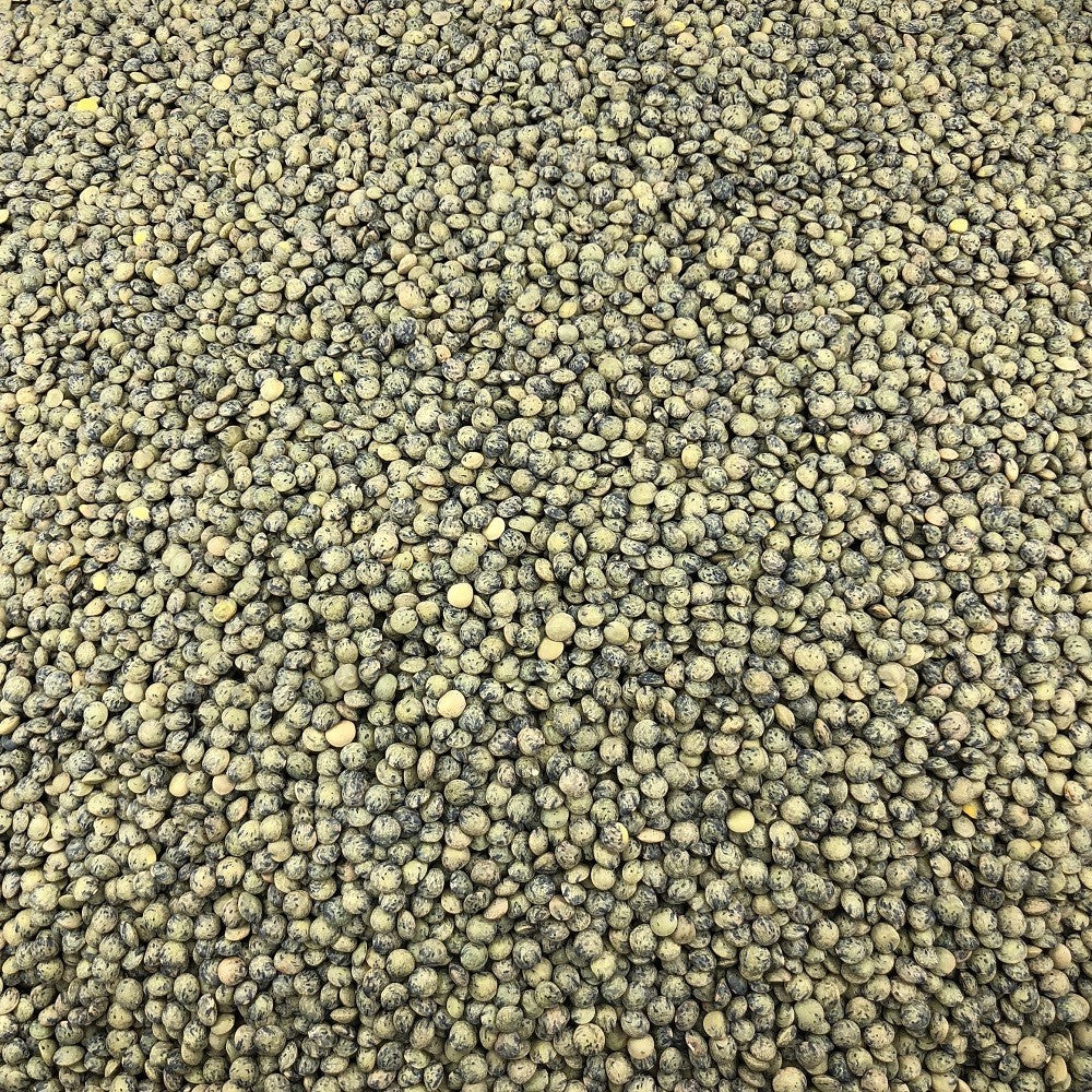 Lentille Verte Bio en Vrac 10kg Vrac Bio - Mathon - 2