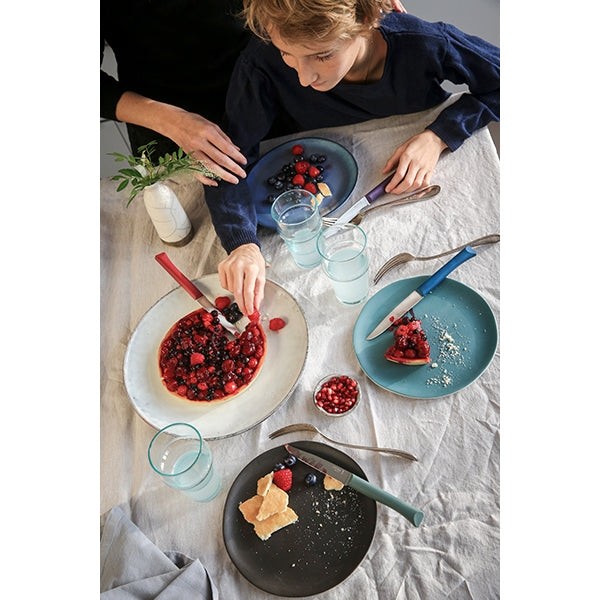 Coffret 4 couteaux de table Glam Opinel - Mathon - 5