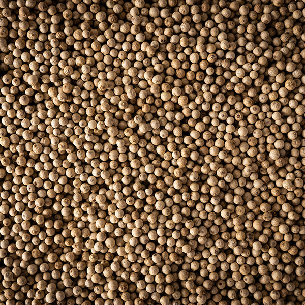 Poivre blanc Sikara 3 x 20g Peugeot - Mathon - 3