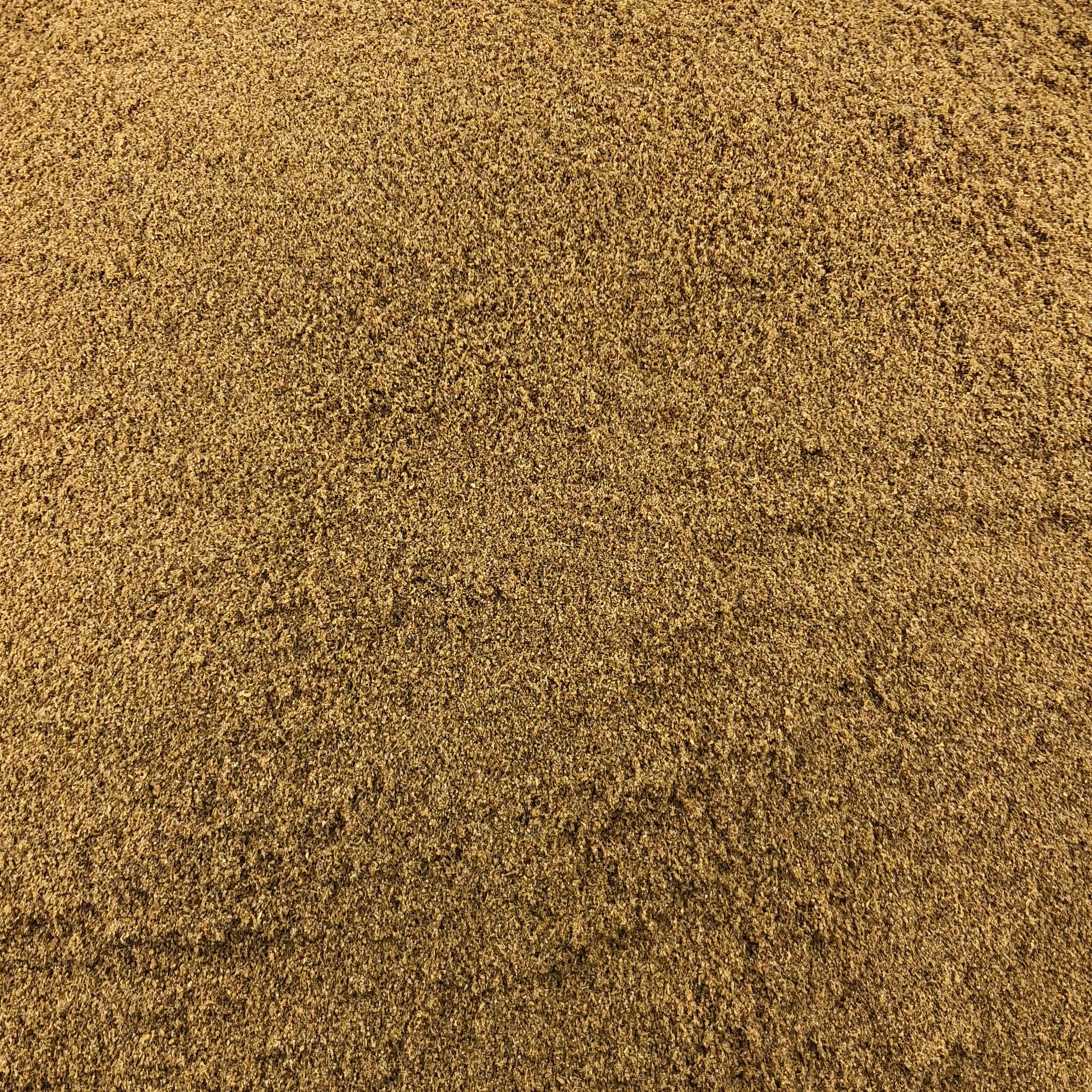 Carvi Poudre Bio en Vrac 10kg Vrac Bio - Mathon - 1