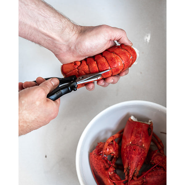 Ciseaux à crustacés De Buyer - Mathon - 4