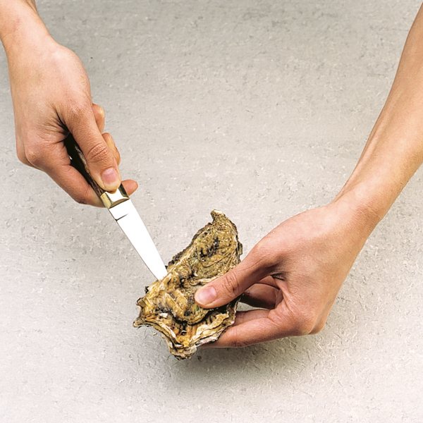 Lancette à huîtres Sabatier International - Mathon - 2