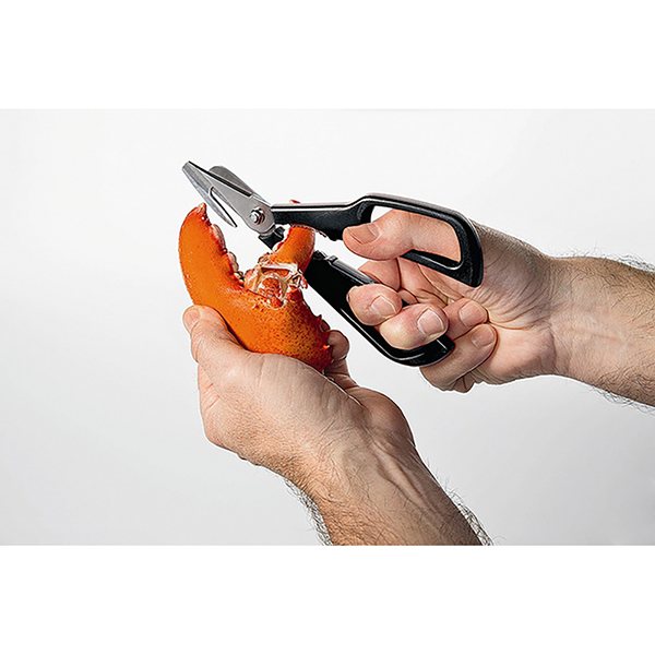 Ciseaux à crustacés noir Moha - Mathon - 4