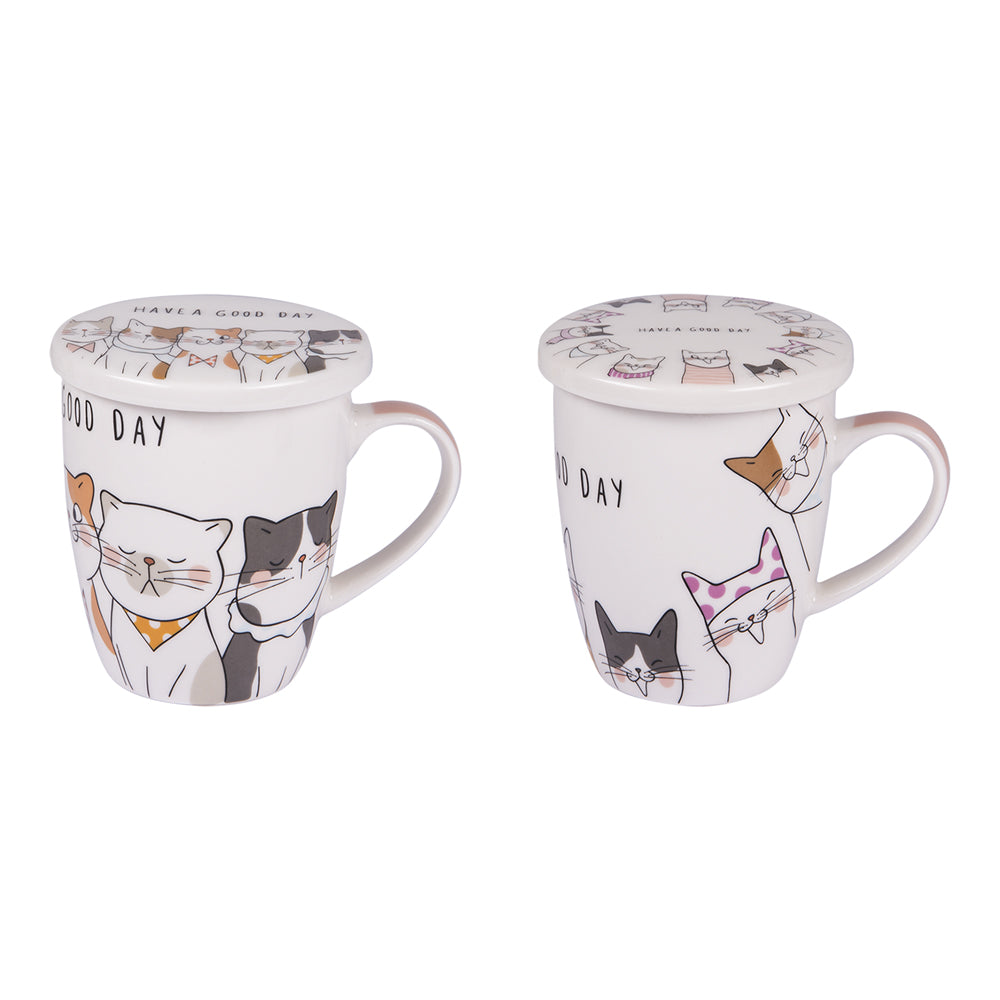 Coffret tisanière et filtre à thé 35 cl Trend