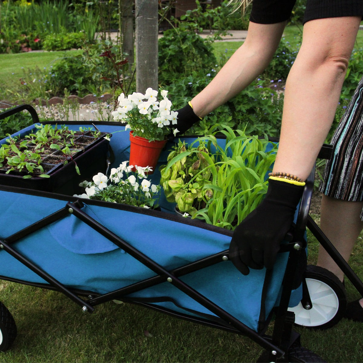 Chariot Pliable de Jardin – Bleu Monstershop - Mathon - 3