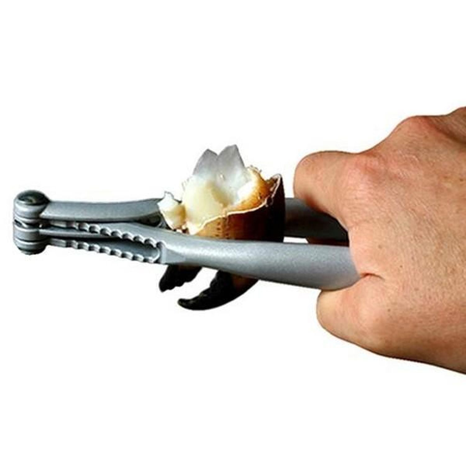 3 pinces à crustacés réversibles Chevalier diffusion - Mathon