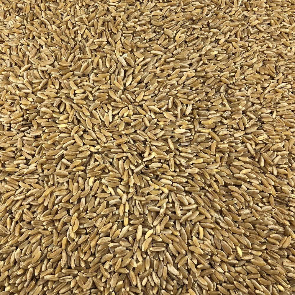 Blé Ancien Bio en Vrac 500g Vrac Bio - Mathon - 2