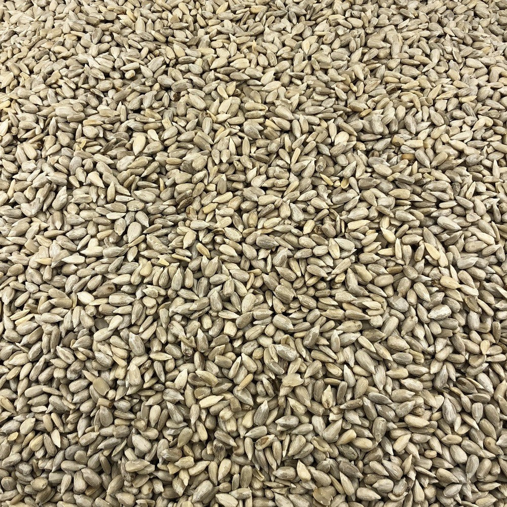 Graines de Tournesol Bio en Vrac 10kg Vrac Bio - Mathon - 2