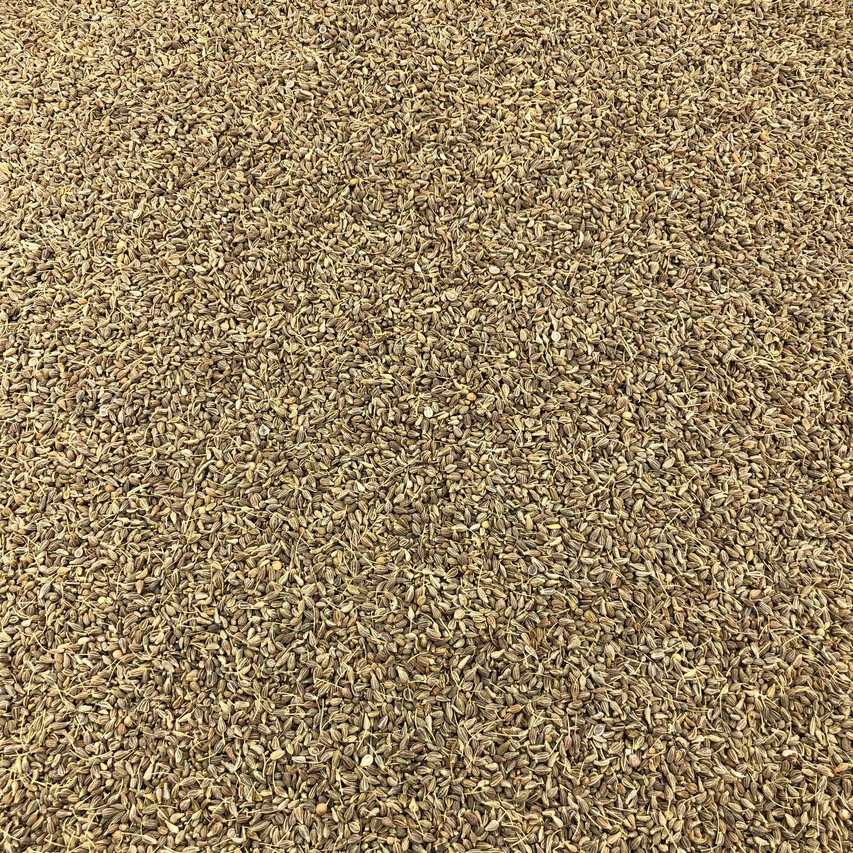 Anis Vert Graines Bio en Vrac 5kg Vrac Bio - Mathon - 1