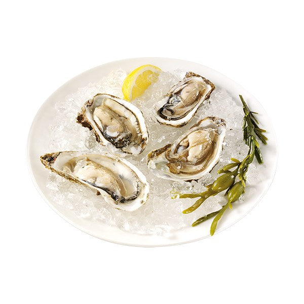 Machine à glace pilée 01.282984.01.001 Princess - Mathon - 5