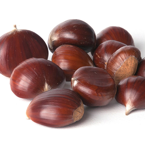 Coupe châtaigne Ibili - Mathon - 3