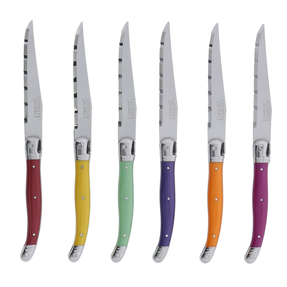 Coffret 6 couteaux laguiole irise assortis Jean Dubost - Mathon - 1