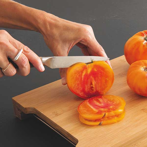 Set de 4 couteaux bois d