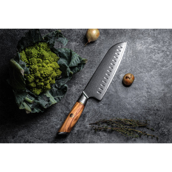 Couteau Fukito Olive Damas modèle Santoku 18cm Fukito - Mathon - 4