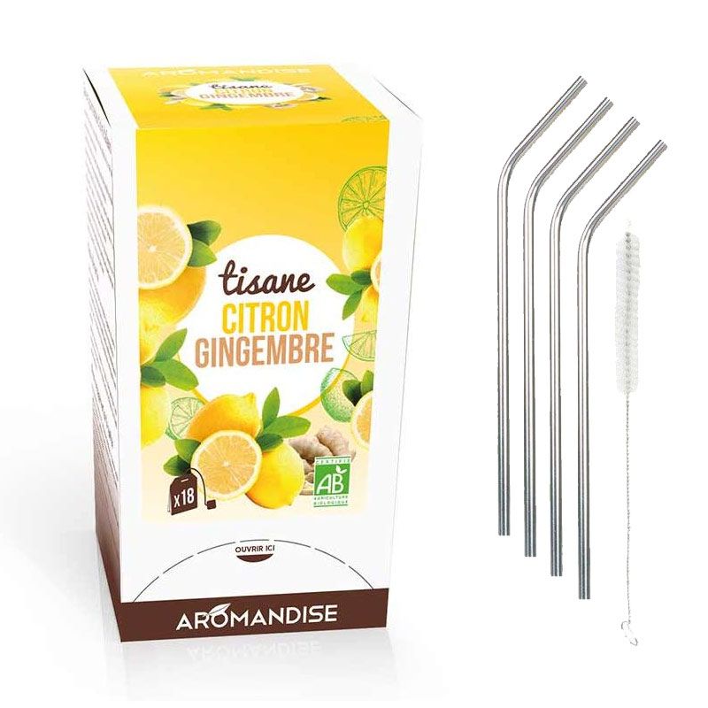 Tisane gingembre et citron bio 20 sachets + 4 pailles inox Youdoit - Mathon