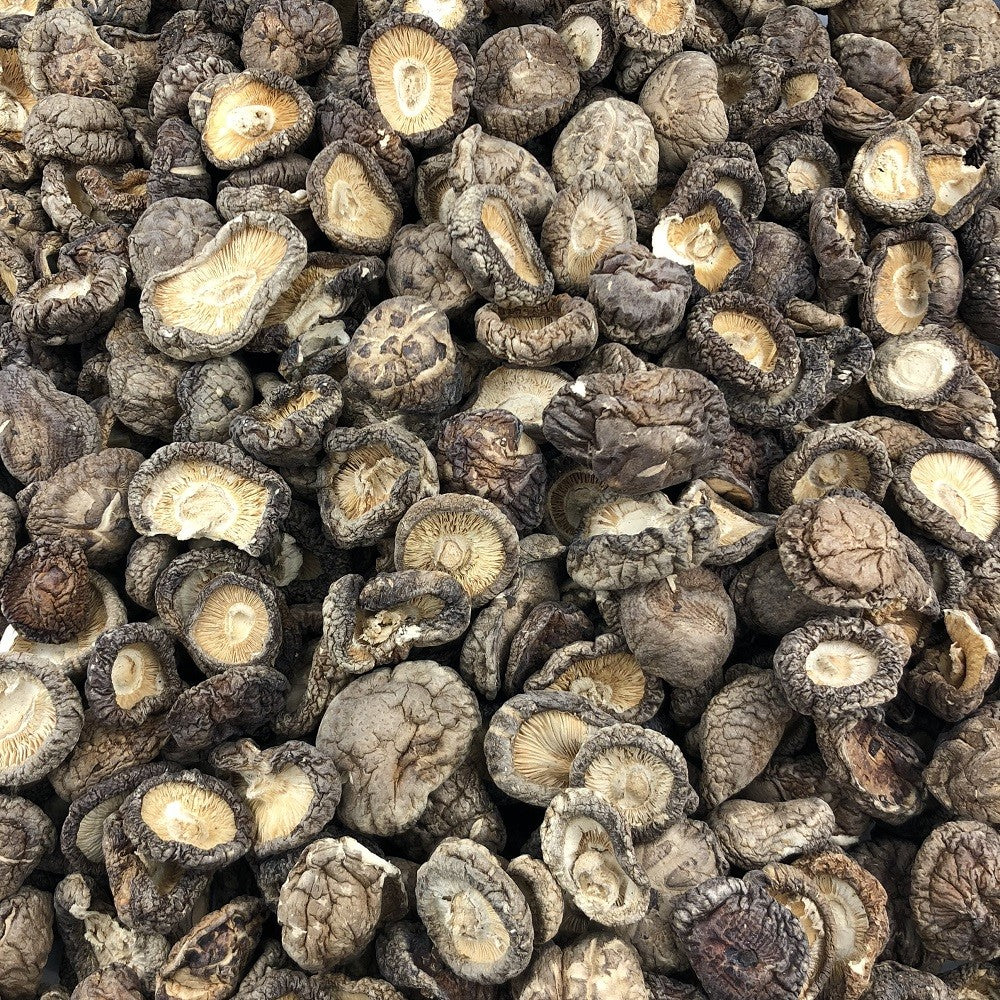 Champignon Shiitake Bio en Vrac 500g Vrac Bio - Mathon - 2